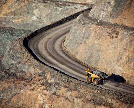 Mining and world surveys